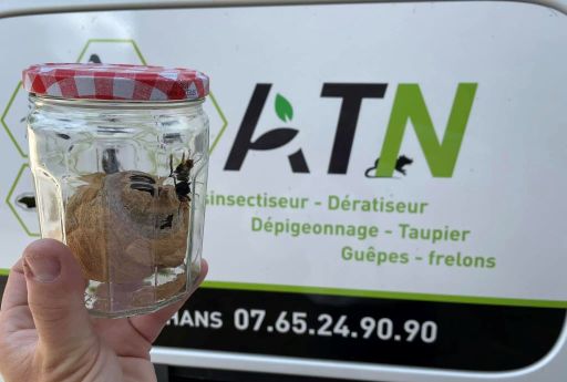 ATN