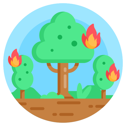 FIN FEU FORET